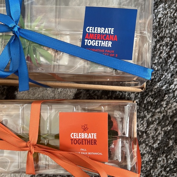 Kohl’s Celebrate Fall and Americana faux succulents, NIB! - Picture 4 of 6